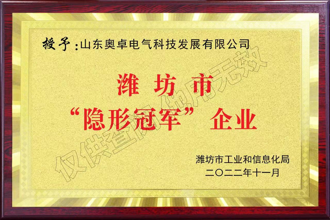 濰坊市“隱形冠軍”企業(yè)