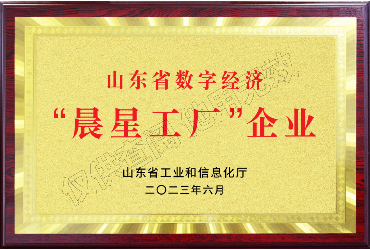 山東省數(shù)字經(jīng)濟(jì)“晨星工廠”企業(yè)